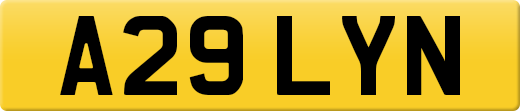 A29LYN