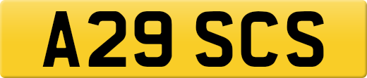 A29SCS