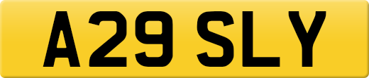 A29SLY