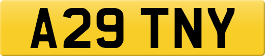 A29TNY