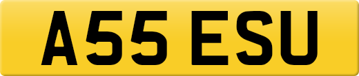A55ESU