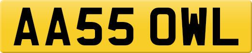 AA55OWL