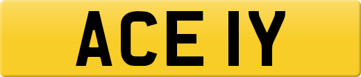 ACE1Y