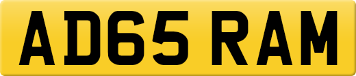 AD65RAM