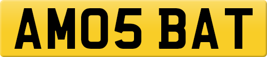 AM05BAT