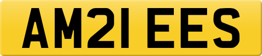 AM21EES