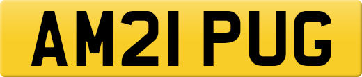 AM21PUG