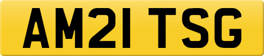 AM21TSG