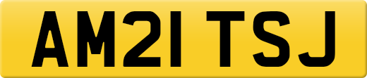 AM21TSJ