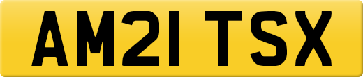 AM21TSX