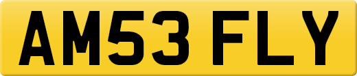 AM53FLY