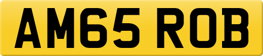 AM65ROB