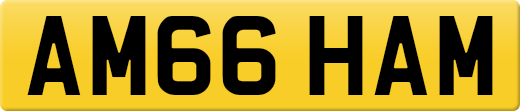 AM66HAM