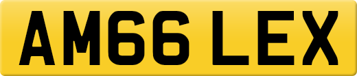 AM66LEX