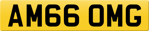 AM66OMG
