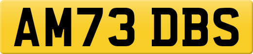 AM73DBS