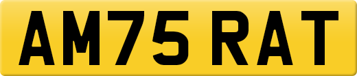 AM75RAT