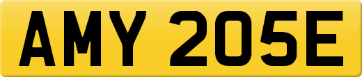 AMY205E