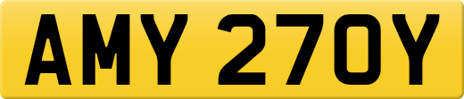 AMY270Y