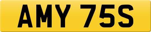 AMY75S