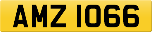 AMZ1066