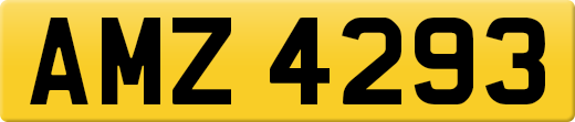 AMZ4293