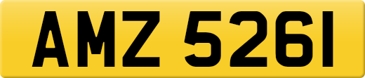 AMZ5261