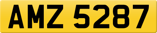 AMZ5287