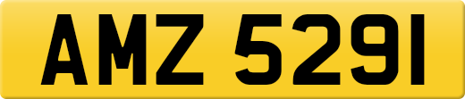 AMZ5291
