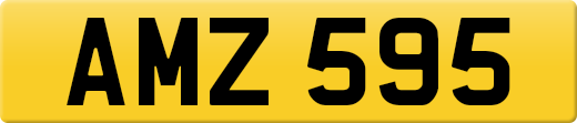AMZ595