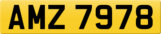 AMZ7978