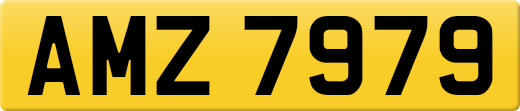 AMZ7979