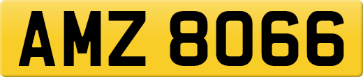 AMZ8066