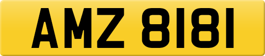 AMZ8181