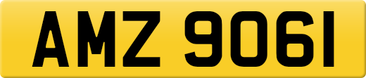 AMZ9061