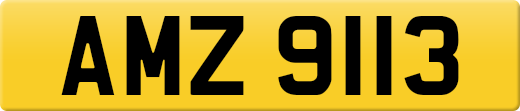 AMZ9113