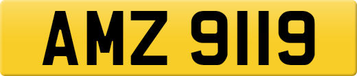AMZ9119