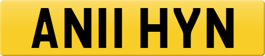 AN11HYN