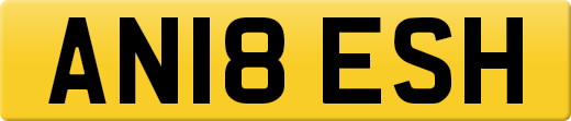 AN18ESH