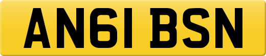 AN61BSN