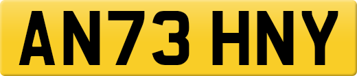 AN73HNY