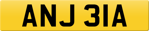 ANJ31A