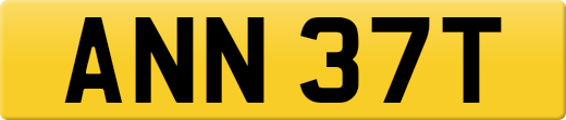 ANN37T