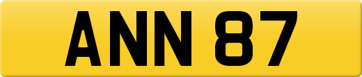 ANN87