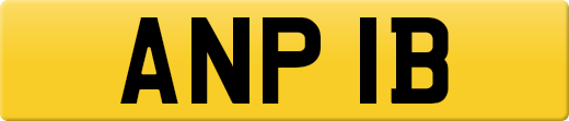 ANP1B