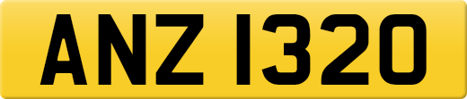 ANZ1320