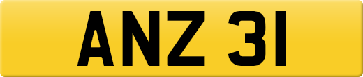 ANZ31