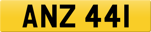ANZ441