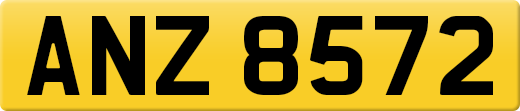 ANZ8572