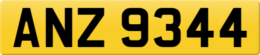 ANZ9344